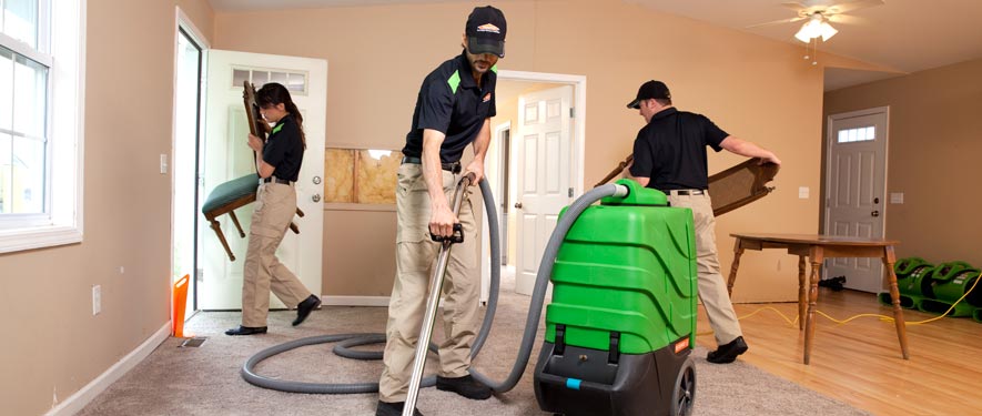 Albert Lea, MN cleaning services